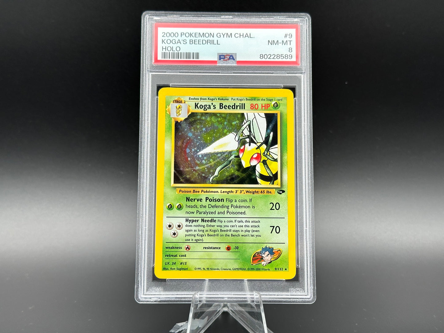 Beedrill holo Gym Challenge de Koga PSA 8