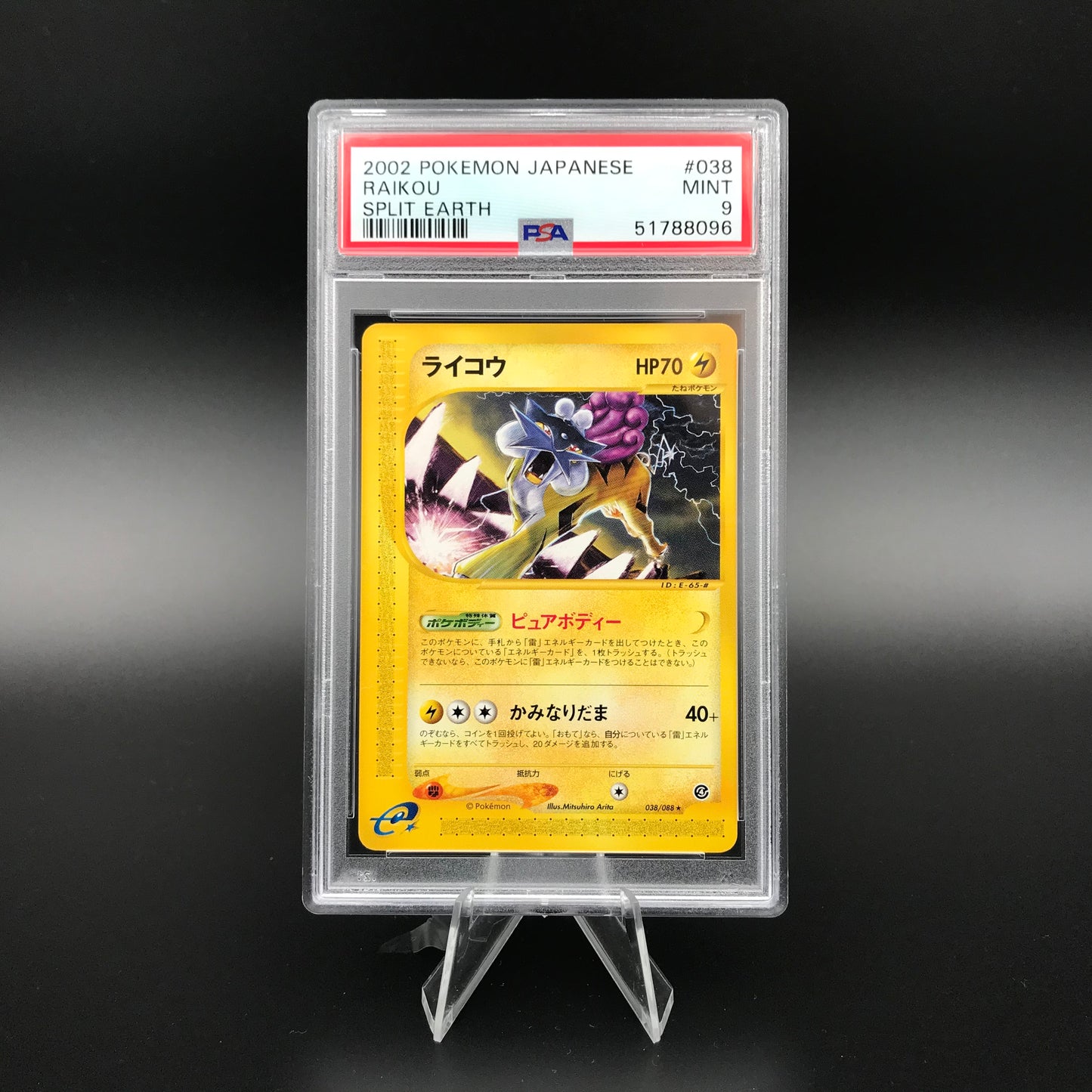 Raikou non olo Terra divisa PSA 9